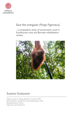 Save the Orangutan ( Pongo Pygmaeus ) Susanna Gustavsson