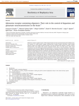 Adenosine Receptor Containing Oligomers: Their Role in the Control of Dopamine and Glutamate Neurotransmission in the Brain☆