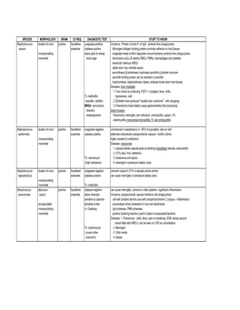 Bacteria Chart1