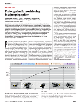 Prolonged Milk Provisioning in a Jumping Spider Zhanqi Chen, Richard T