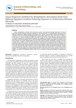 Tissue Responses Exhibited by Biomphalaria Alexandrina Snails from Different Egyptian Localities Following Exposure to Schistosoma Mansoni Miracidia A.H