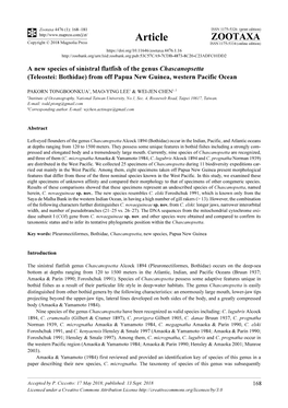 A New Species of Sinistral Flatfish of the Genus Chascanopsetta (Teleostei: Bothidae) from Off Papua New Guinea, Western Pacific Ocean