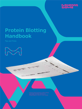 Protein Blotting Handbook Tips and Tricks