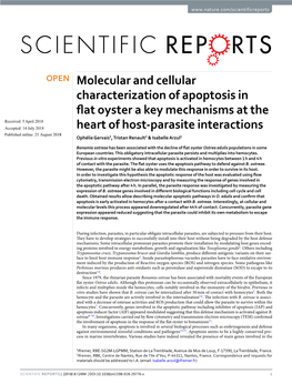 Molecular and Cellular Characterization of Apoptosis in Flat