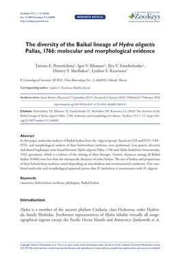 ﻿The Diversity of the Baikal Lineage Of