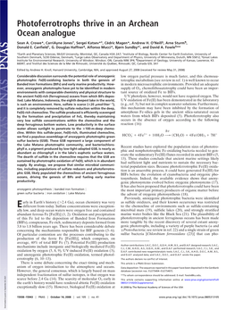 Photoferrotrophs Thrive in an Archean Ocean Analogue