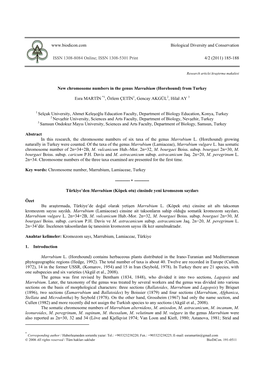 New Chromosome Numbers in the Genus Marrubium Horehound From