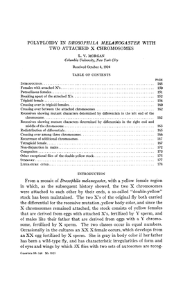 Polyploidy in Drosophila Melanocaster With