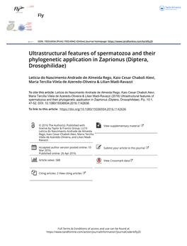 Ultrastructural Features of Spermatozoa and Their Phylogenetic Application in Zaprionus \(Diptera, Drosophilidae\)