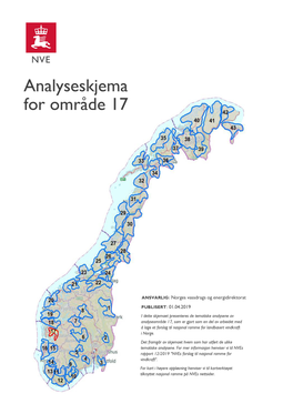 Analyseskjema for Område 17