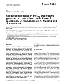 Spliceosomal Genes in the D. Discoideum Genome: a Comparison with Those in H