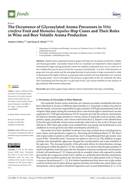 The Occurrence of Glycosylated Aroma Precursors in Vitis Vinifera Fruit and Humulus Lupulus Hop Cones and Their Roles in Wine and Beer Volatile Aroma Production