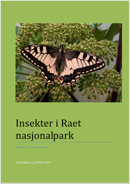 Insekter I Raet Nasjonalpark