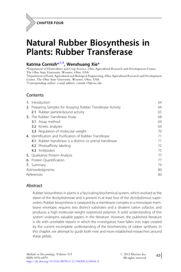 Natural Rubber Biosynthesis in Plants: Rubber Transferase