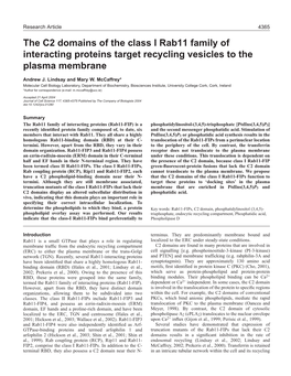 The C2 Domains of the Class I Rab11 Family of Interacting Proteins Target Recycling Vesicles to the Plasma Membrane