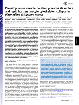 Parasitophorous Vacuole Poration Precedes Its Rupture and Rapid Host Erythrocyte Cytoskeleton Collapse in Plasmodium Falciparum Egress