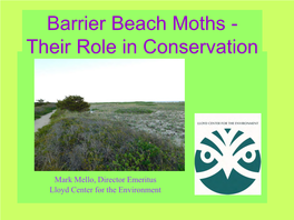 Barrier Beaches: Specialized Habitat for Rare Moths