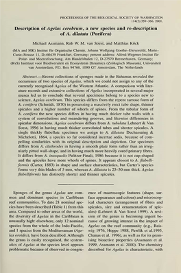 Proceedings of the Biological Society of Washington 114(2):359-366