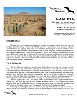 NAMIBIA: Sossusvlei to Etosha a Tropical Birding Custom Trip