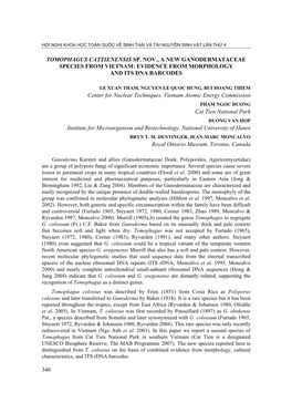 Tomophagus Cattienensis Sp. Nov., a New Ganodermataceae Species from Vietnam: Evidence from Morphology and Its Dna Barcodes