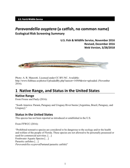 Paravandellia Oxyptera (A Catfish, No Common Name) Ecological Risk Screening Summary