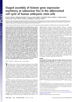 Staged Assembly of Histone Gene Expression Machinery at Subnuclear Foci in the Abbreviated Cell Cycle of Human Embryonic Stem Cells