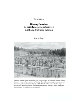 Kissing Cousins: Genetic Interactions Between Wild and Cultured Salmon