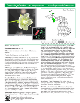 Parnassia Palustris L