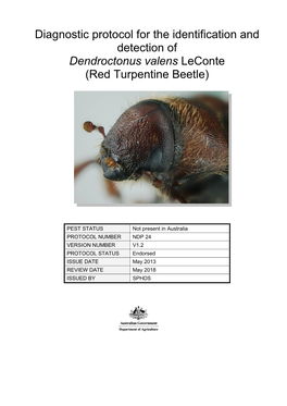 Red Turpentine Beetle)