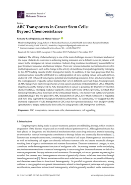 ABC Transporters in Cancer Stem Cells: Beyond Chemoresistance