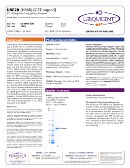 UBE2B (HR6B) [GST-Tagged] E2 – Ubiquitin Conjugating Enzyme