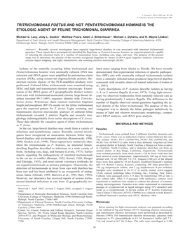 Tritrichomonas Foetus and Not Pentatrichomonas Hominis Is the Etiologic Agent of Feline Trichomonal Diarrhea