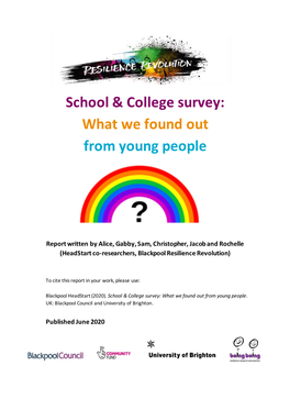 School & College Survey