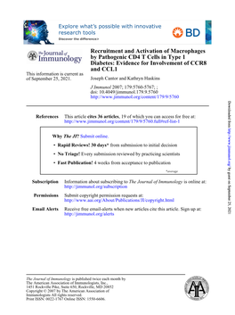 Evidence for Involvement of CCR8 by Pathogenic CD4 T Cells in Type 1