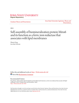 Self-Assembly of Biomineralization Protein Mms6 and Its Function As a Ferric Iron Reductase That Associates with Lipid Membranes Shuren Feng Iowa State University