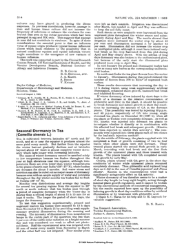 Seasonal Dormancy in Tea (Camellia Sinensis