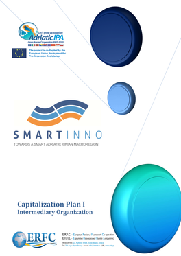 Capitalization Plan I Intermediary Organization