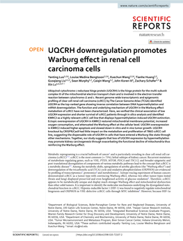 UQCRH Downregulation Promotes Warburg Effect in Renal Cell