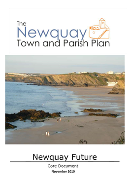 Newquay Future Core Document November 2010