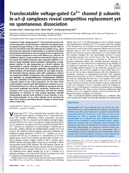 Translocatable Voltage-Gated Ca2+ Channel Β Subunits in Α1–Β