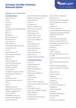 Socially Conscious Balanced Holdings