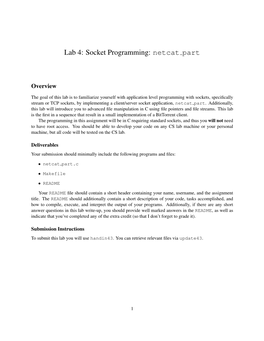 Lab 4: Socket Programming: Netcat Part