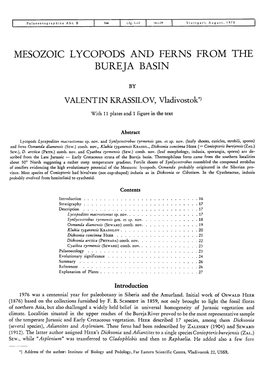 Mesozoic Lycopods and Ferns from the Bureja Basin