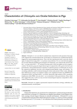 Characteristics of Chlamydia Suis Ocular Infection in Pigs