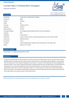 G Protein Alpha 13 Antibody Biotin Conjugated