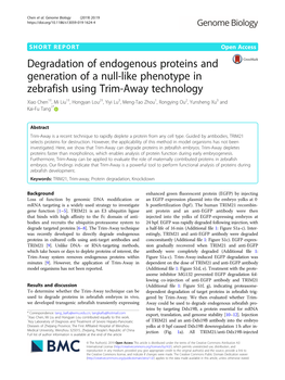 Degradation of Endogenous Proteins and Generation of a Null-Like