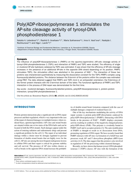 Poly(ADP-Ribose)Polymerase 1 Stimulates the AP-Site Cleavage Activity of Tyrosyl-DNA Phosphodiesterase 1