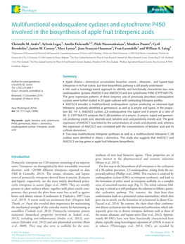 Multifunctional Oxidosqualene Cyclases and Cytochrome P450 Involved in the Biosynthesis of Apple Fruit Triterpenic Acids