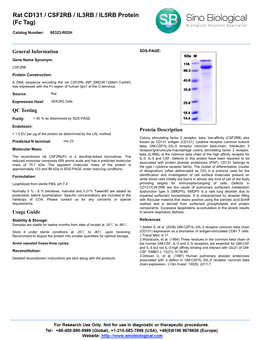 Rat CD131 / CSF2RB / IL3RB / IL5RB Protein (Fc Tag)