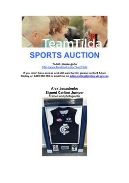 Sports Memorabilia Auction